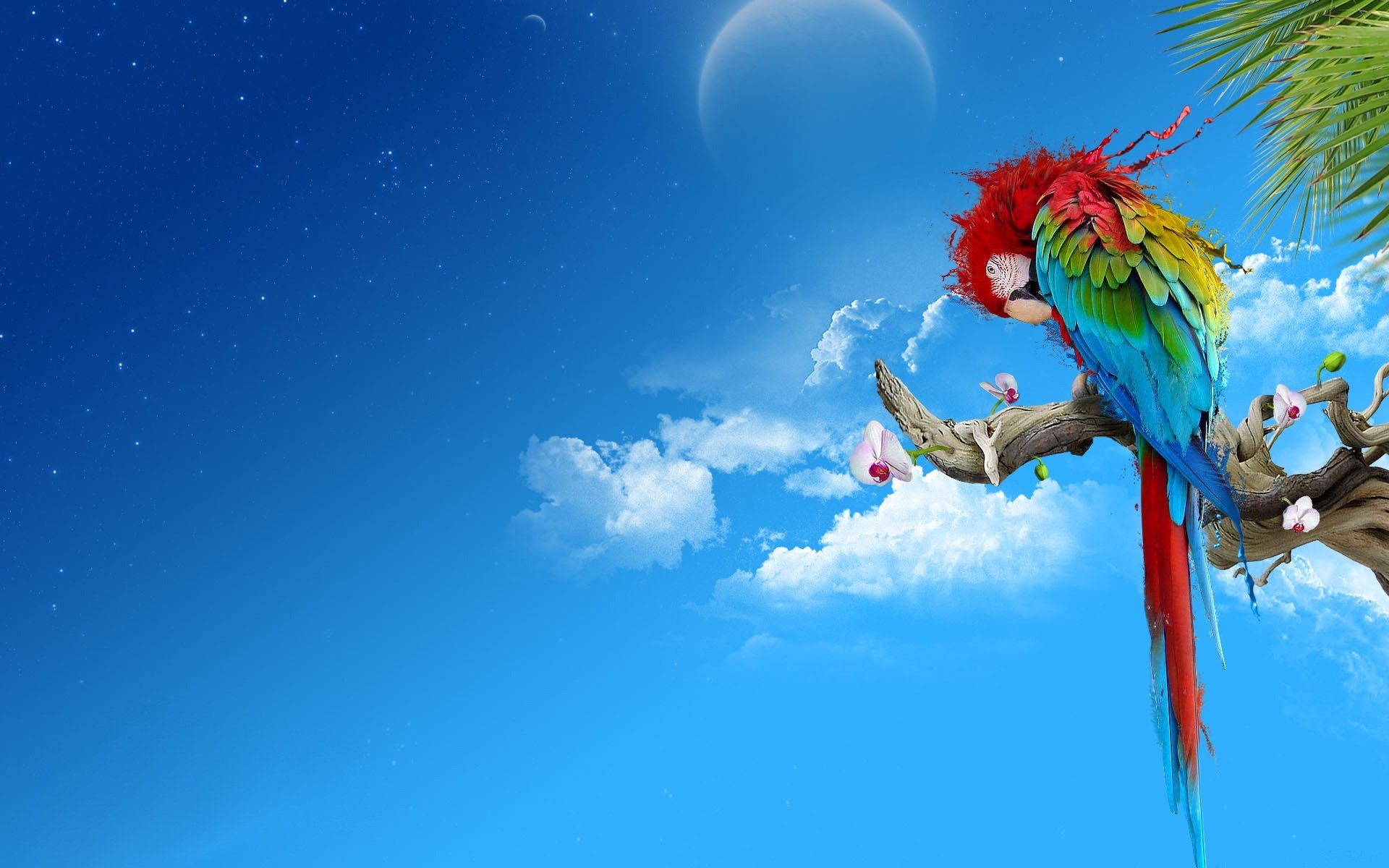 A vibrant red-and-green macaw perched on a branch against a bright blue sky with scattered clouds and a faint moon in the background.