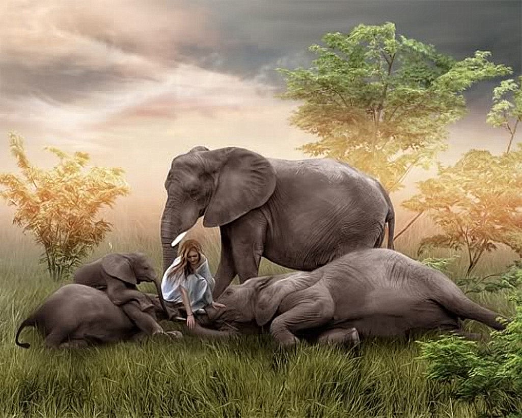 a girl with elephants