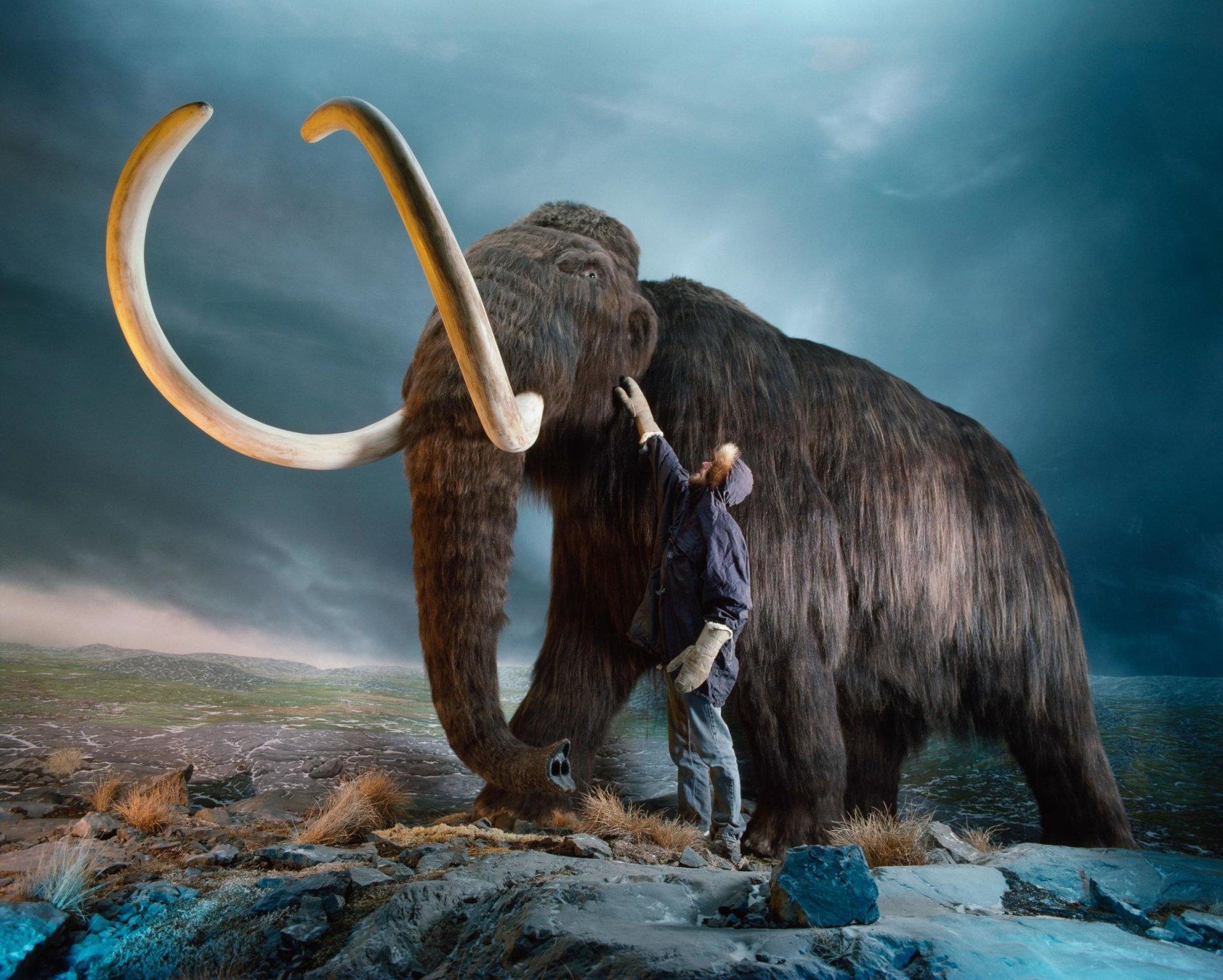 mammoth wallpaper Art - ID: 89374