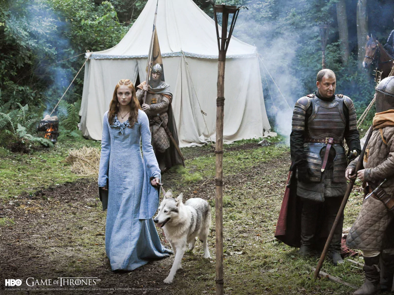 Sophie Turner Sansa Stark TV Show Game Of Thrones Image