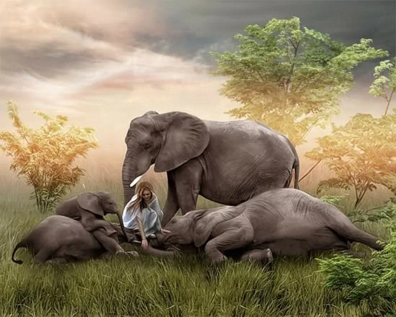 a girl with elephants