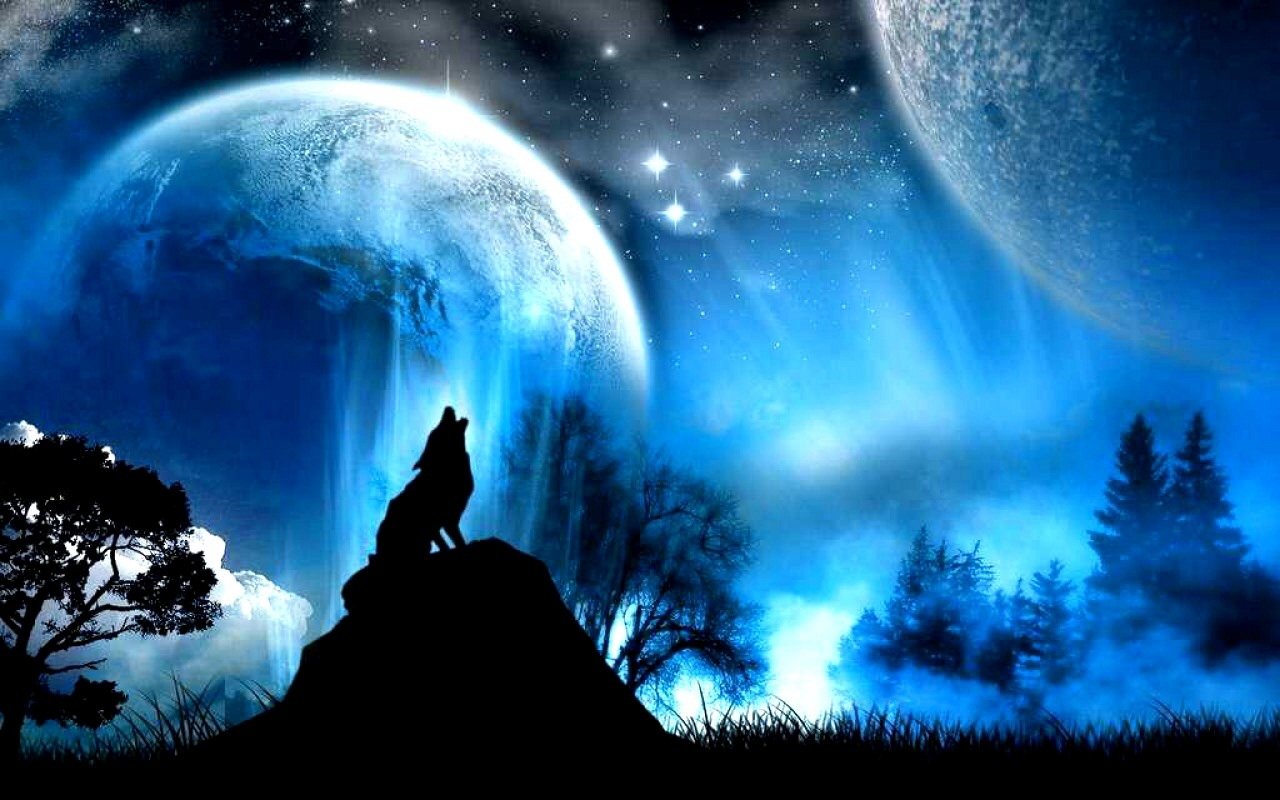Download Moonlight Blue Fantasy Wolf Art