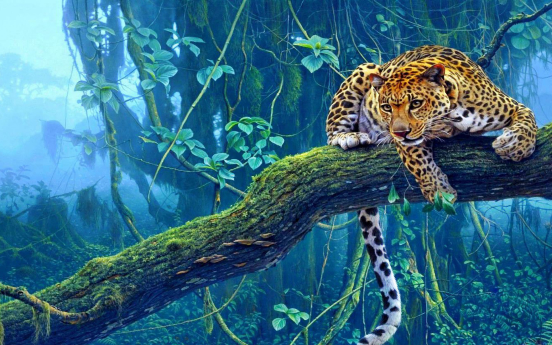 Leopard on Tree Limb