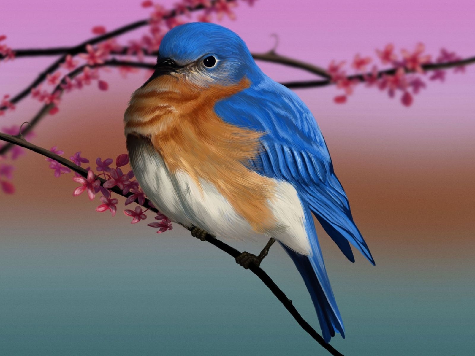 Eastern Bluebird Art