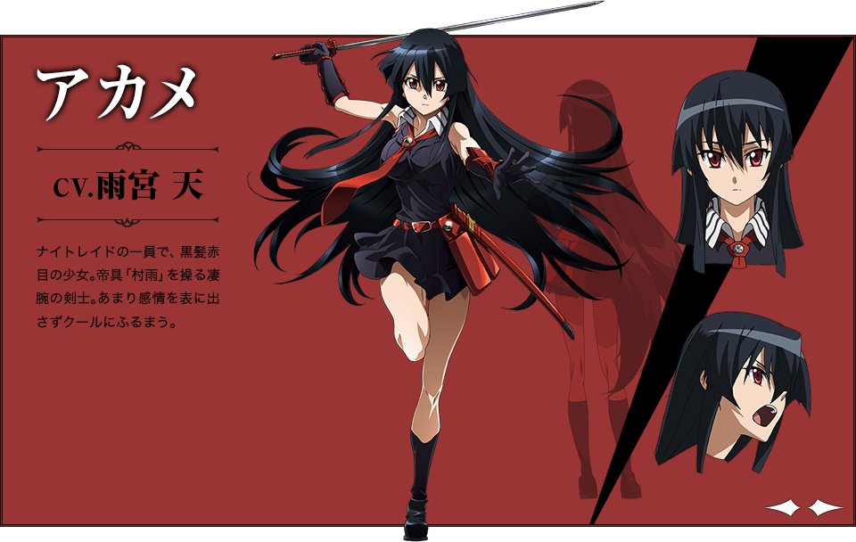 Akame ga Kill  Anime, Akame ga kill, Personagens de anime