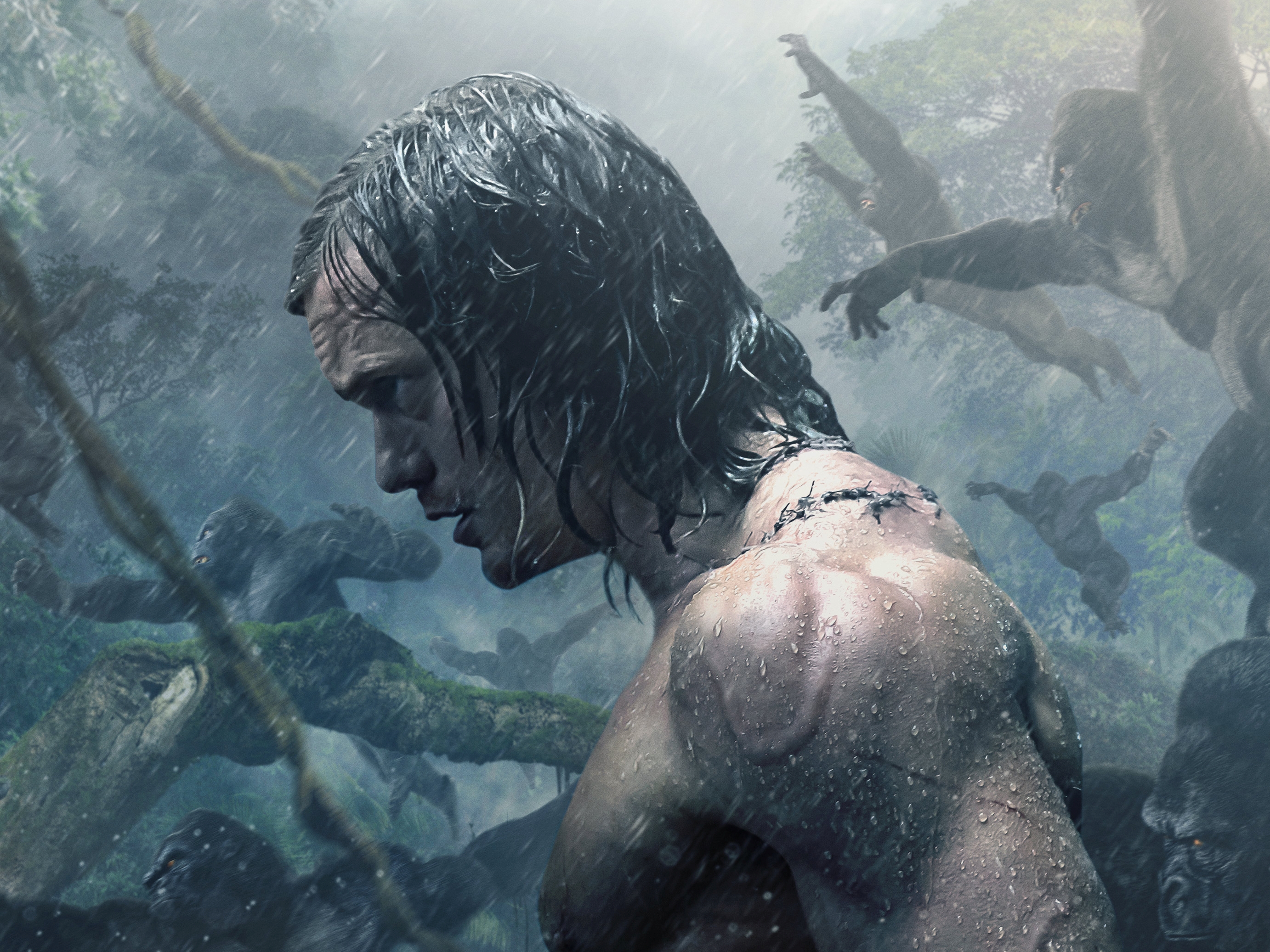 The Legend of Tarzan Art
