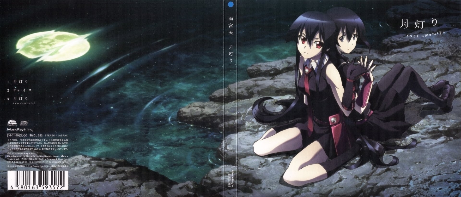 Kurome and Akame from the anime Akame ga Kill! sit back-to-back on a rocky shore at night, moonlight reflecting on the water; both wear dark red-trimmed outfits, alert and tense.