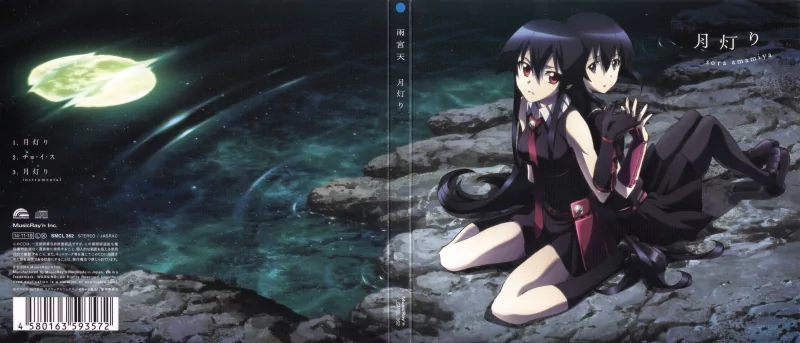 Kurome and Akame from the anime Akame ga Kill! sit back-to-back on a rocky shore at night, moonlight reflecting on the water; both wear dark red-trimmed outfits, alert and tense.