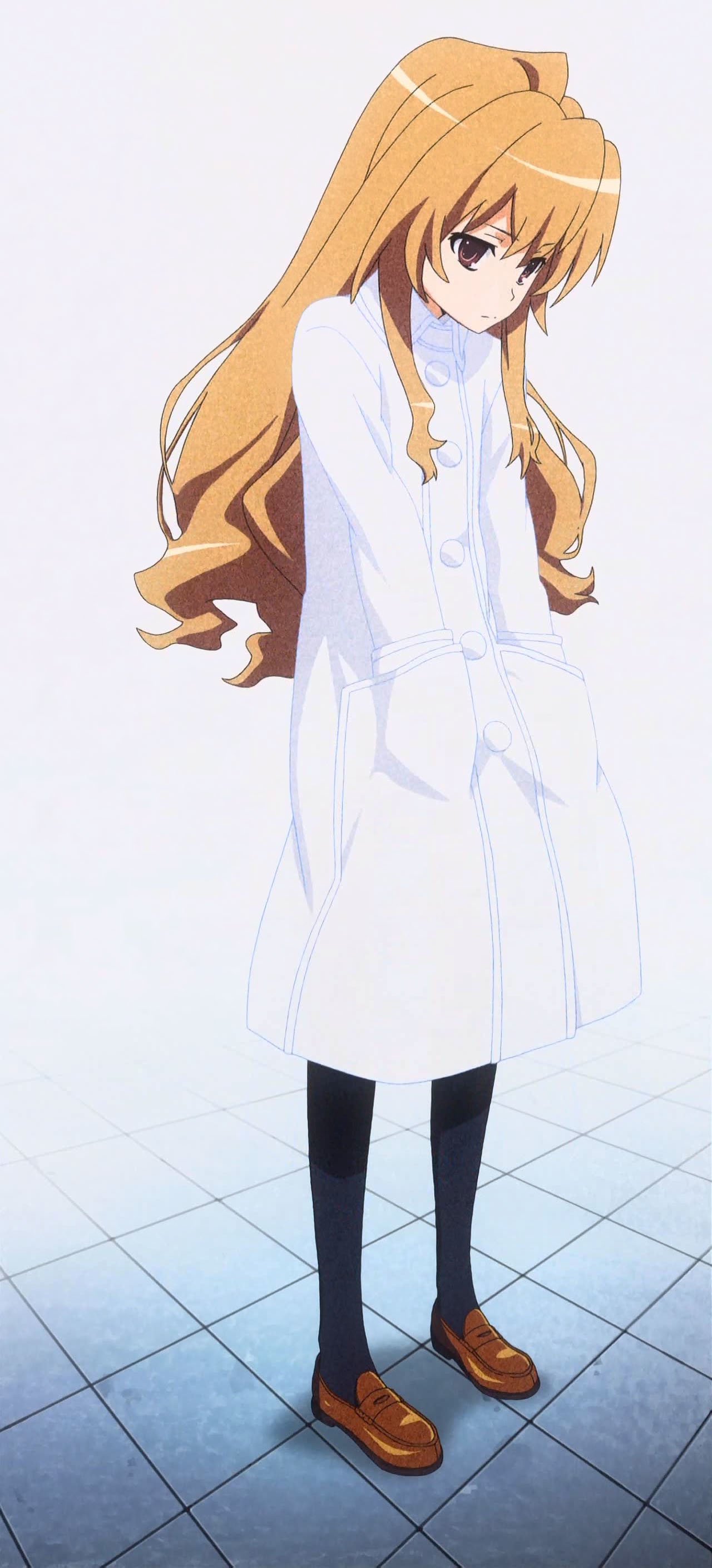 Download Taiga Aisaka Anime Toradora! Art