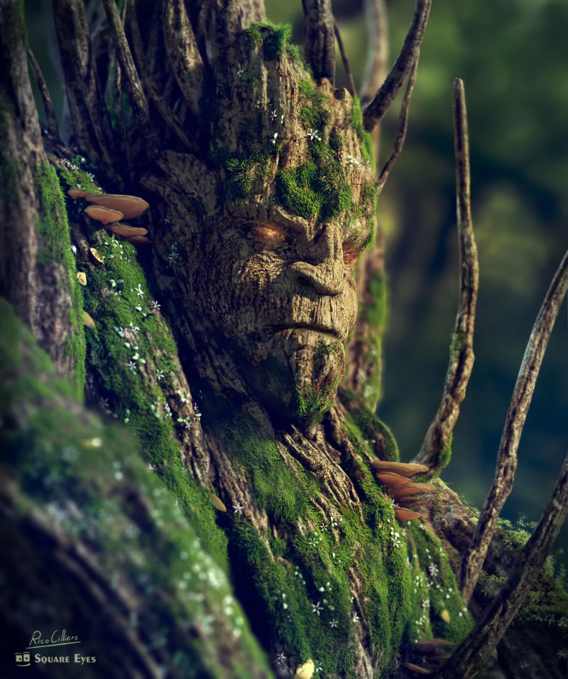  Summer is Coming by Rico Cilliers