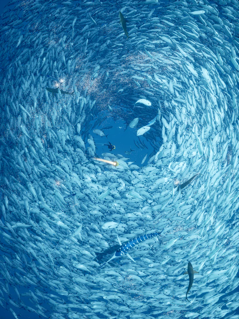 video game Abzu Image