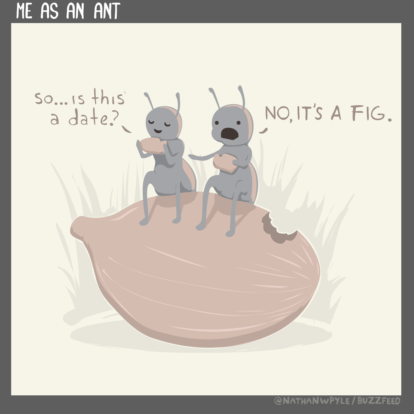 Fig Date by nathanwpyle