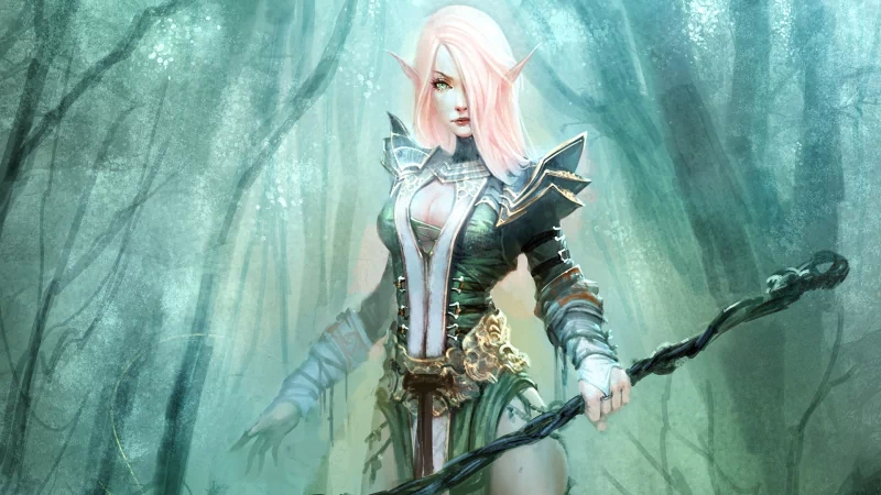 fantasy elf Image
