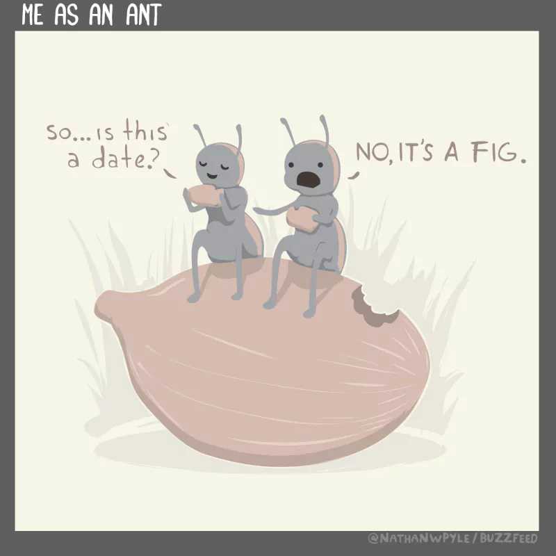  Fig Date by nathanwpyle
