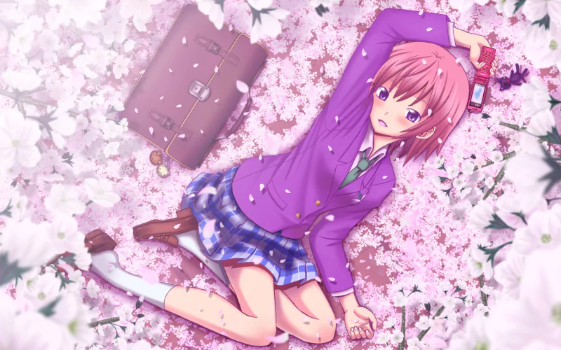  sakura bed