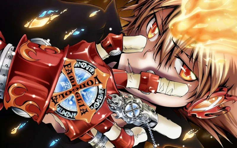 Tsunayoshi Sawada Anime Katekyō Hitman Reborn! Image