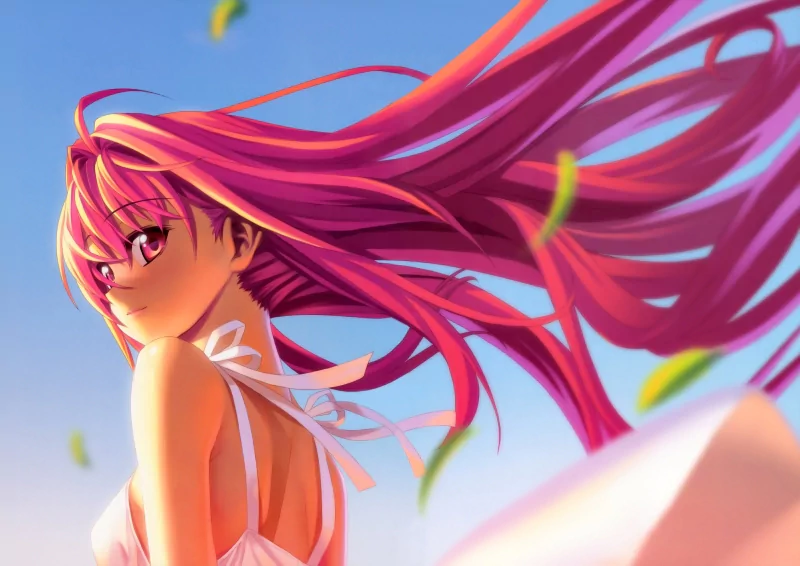 Anime Shinkyoku Soukai Polyphonica Image