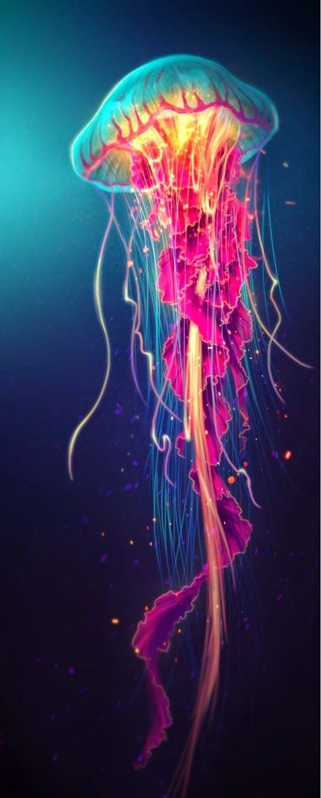 jellyfish-art-wallpaper-jellyfish-drawing-hi-res-stock-photography-and
