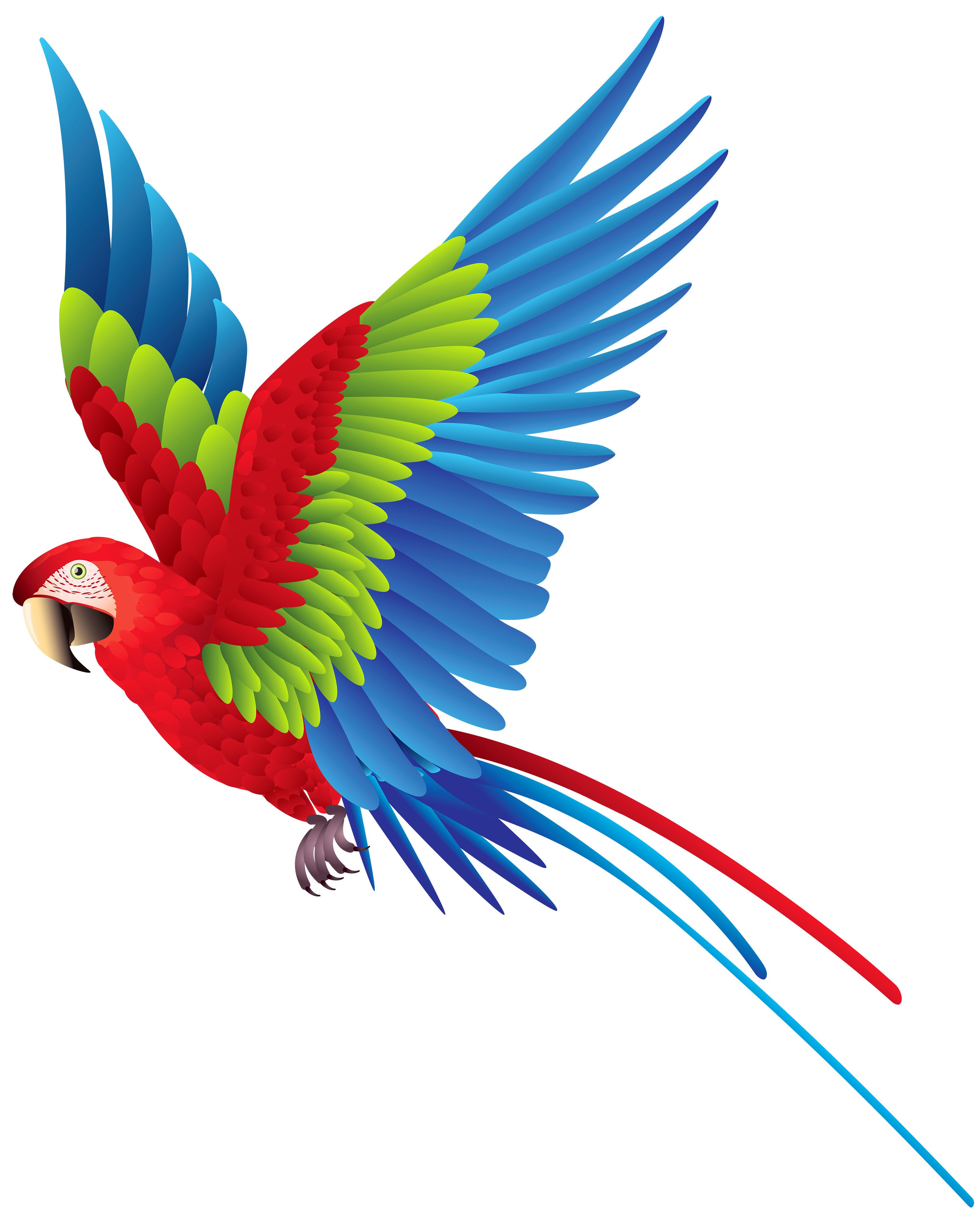 Parrot Art