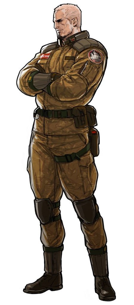Download Video Game Advance Wars Art