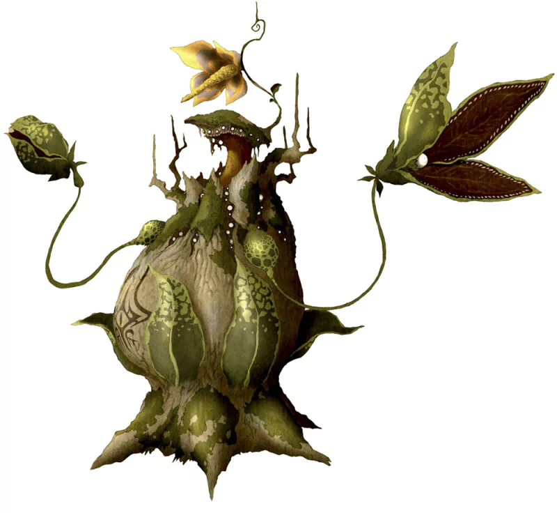  Nepenthes by Go Takeuchi