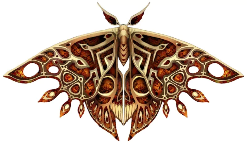 Moth Queen by Go Takeuchi