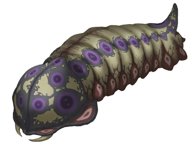  Moth Larva by Go Takeuchi