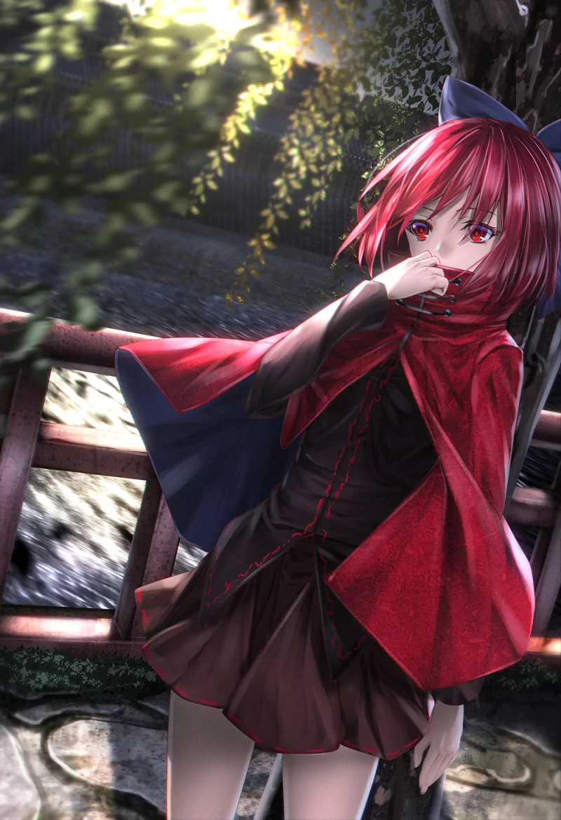 Sekibanki (Touhou) Anime Touhou Image
