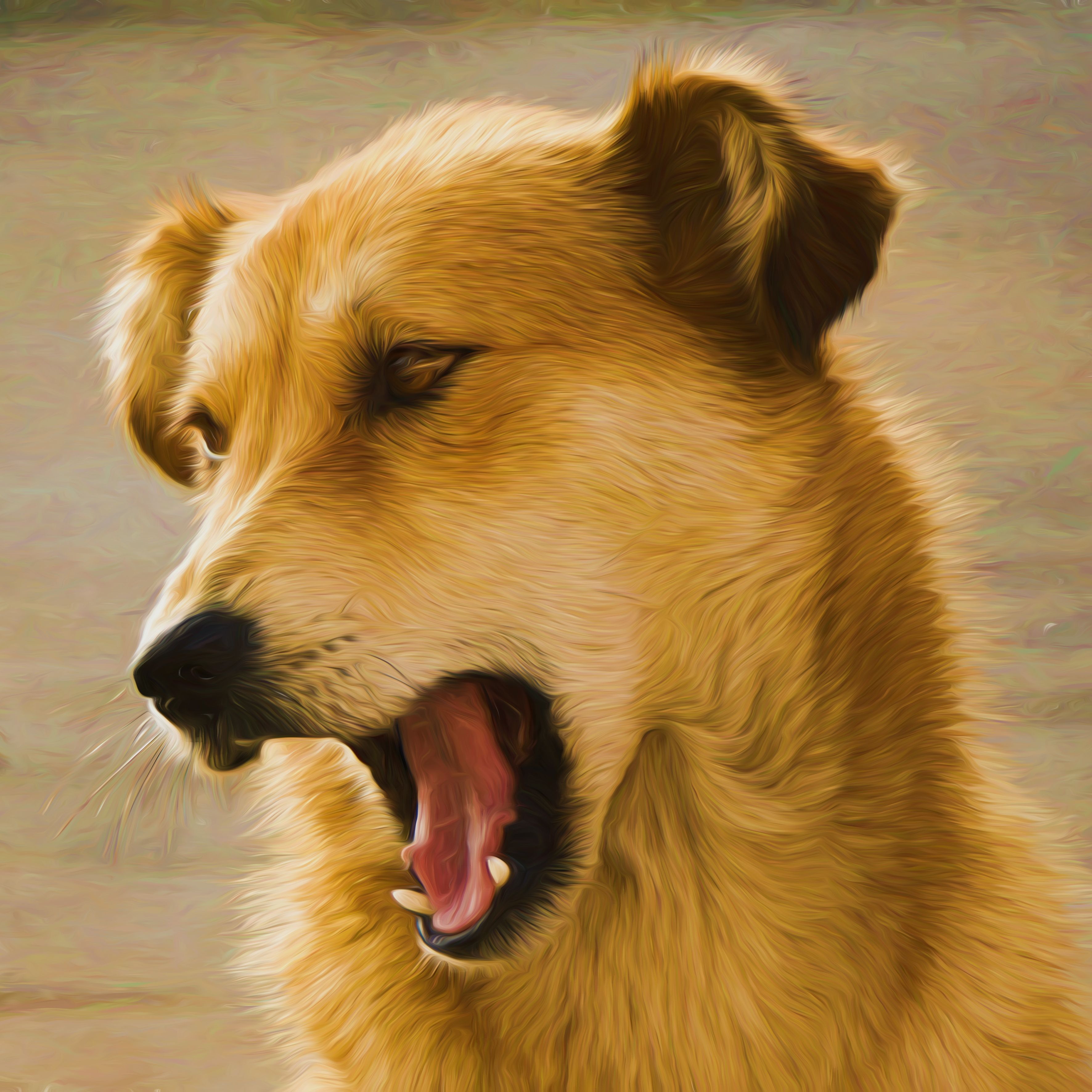 Dog done with an oil paint filter by Hans Benn