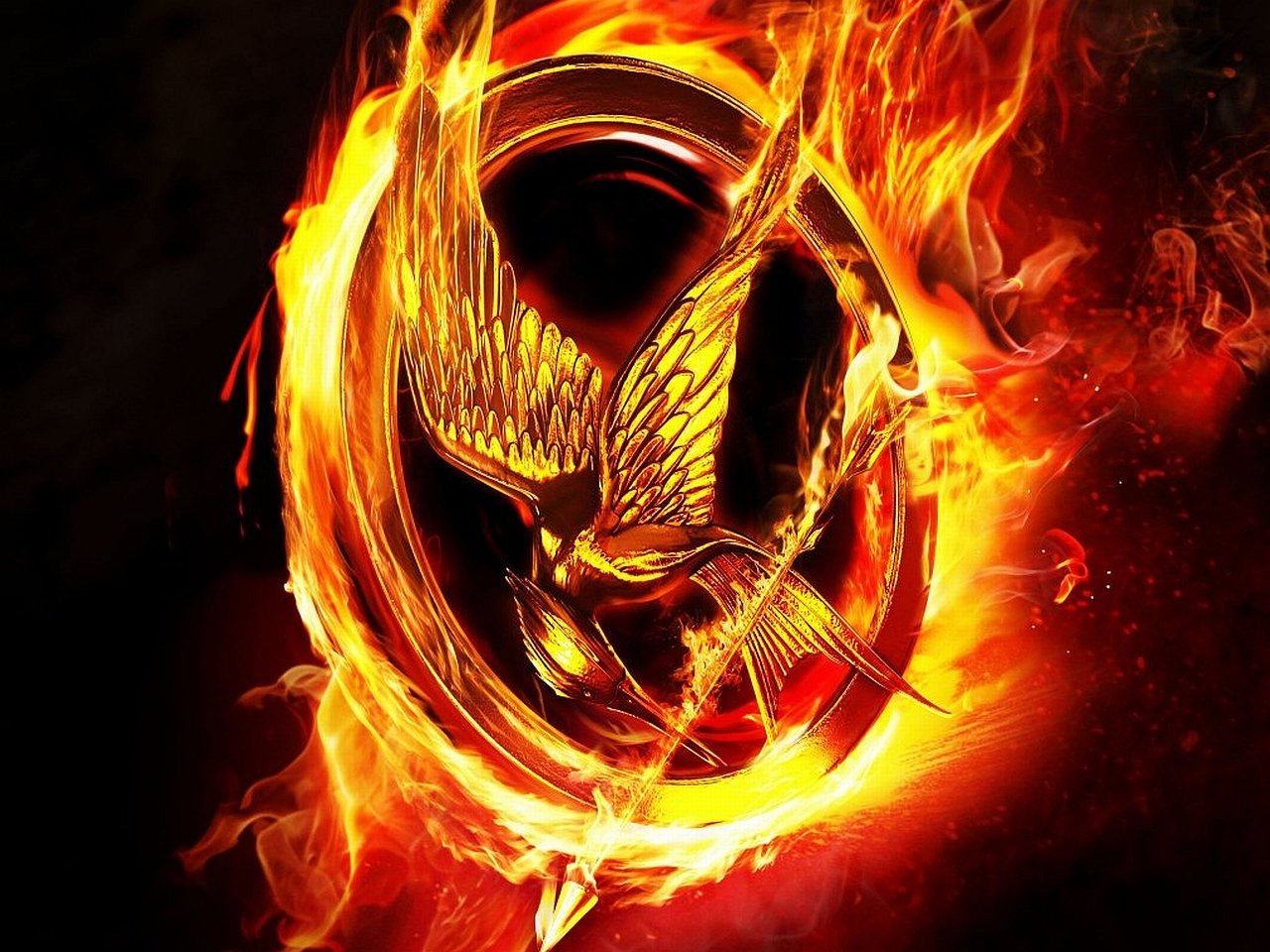 Movie The Hunger Games Art