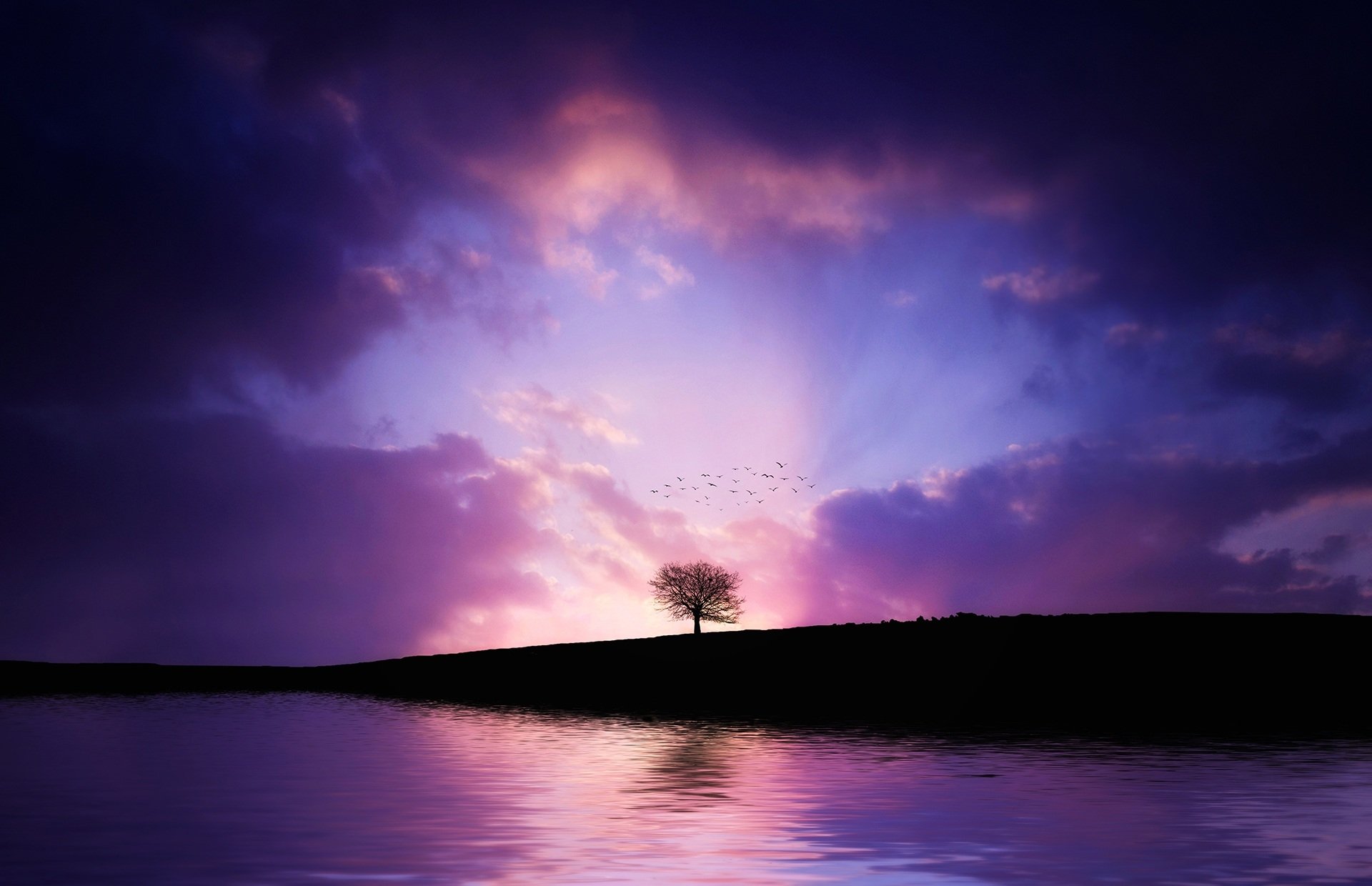 A solitary tree silhouetted against a vibrant purple sunset reflects on a tranquil lake, capturing the essence of nature's beauty and serenity.