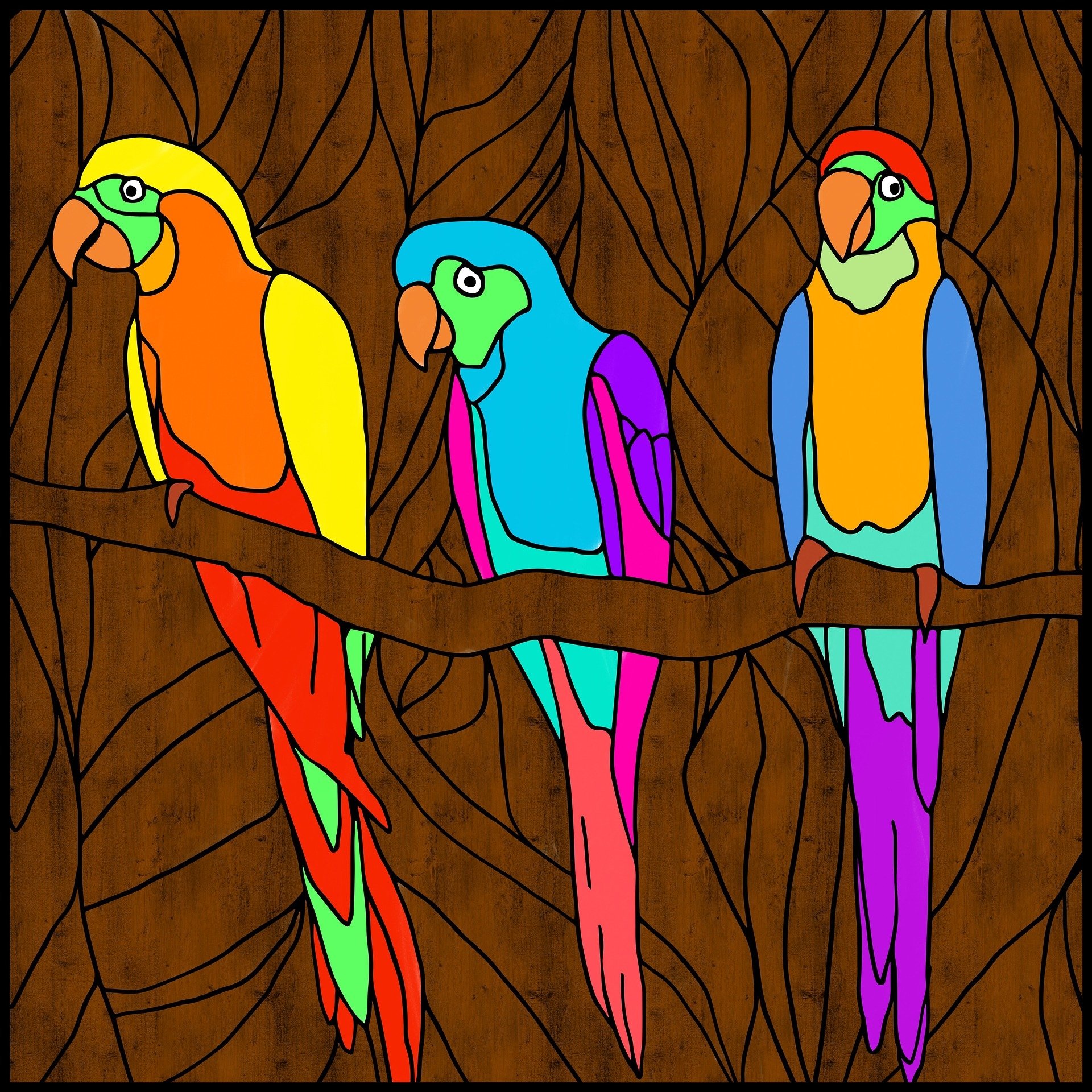 Download Colorful Colors Parrot Bird Animal Artistic Art