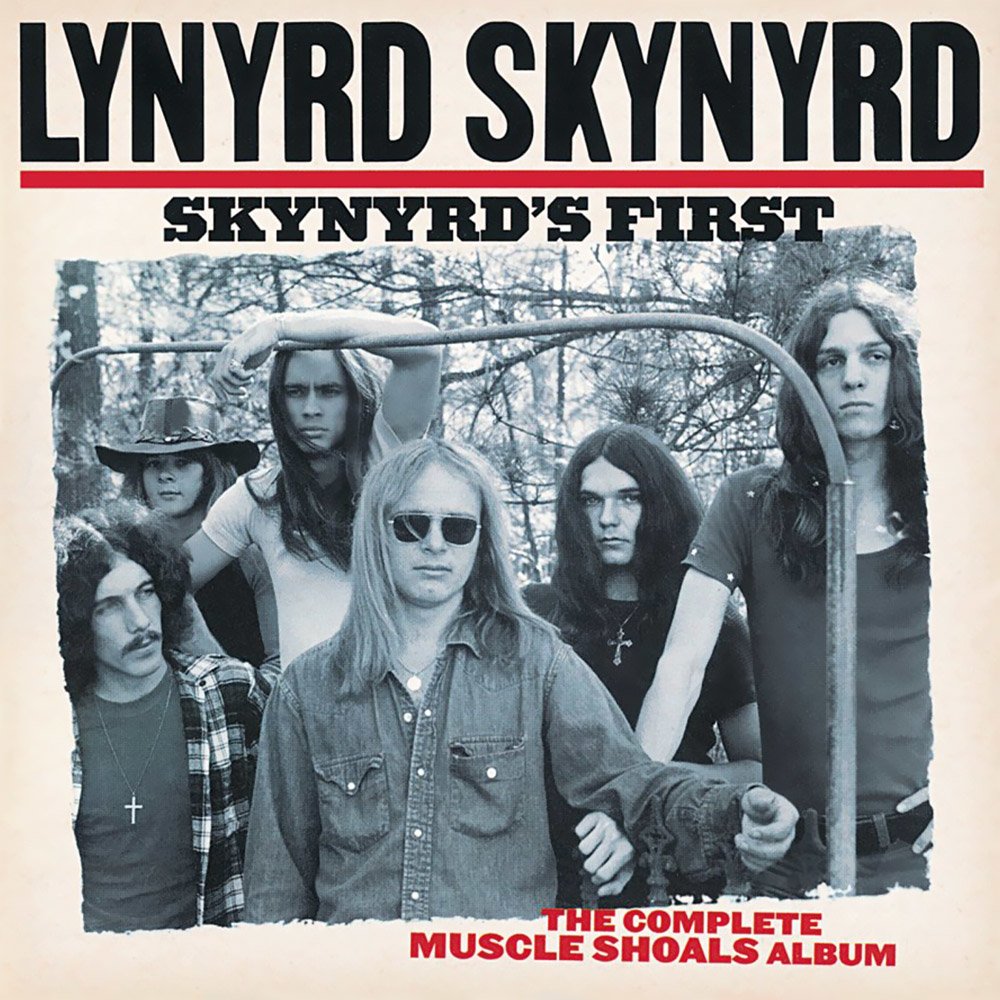 Download Classic Rock Music Lynyrd Skynyrd Art