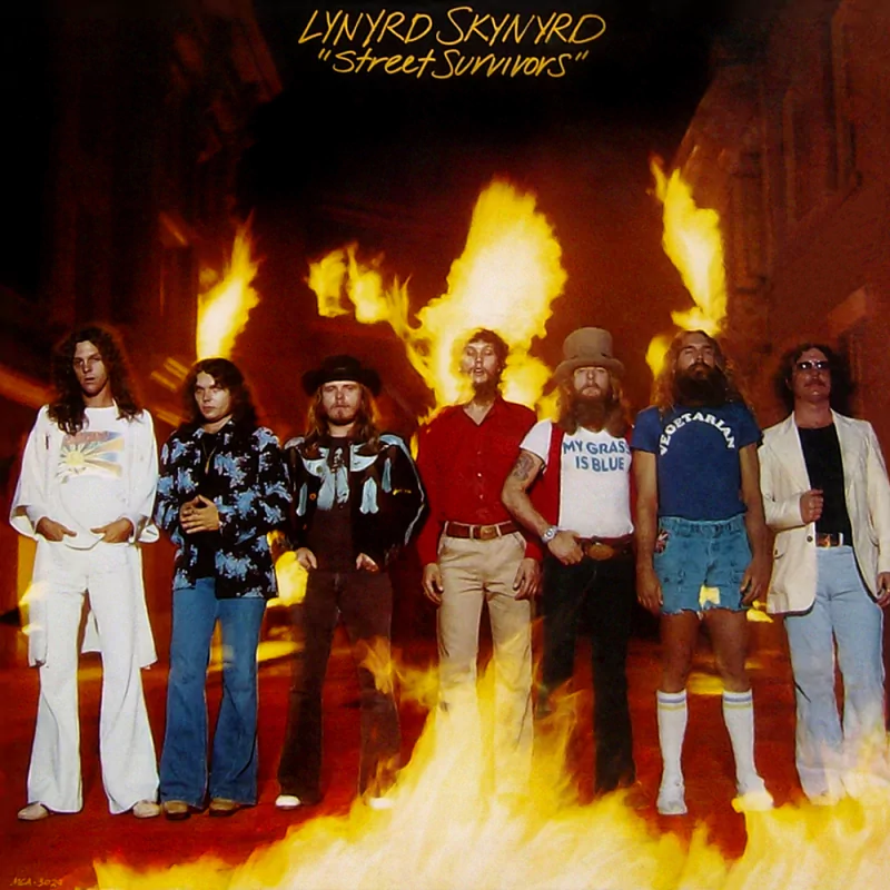 classic rock music Lynyrd Skynyrd Image