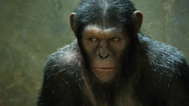 movie rise of the planet of the apes Image