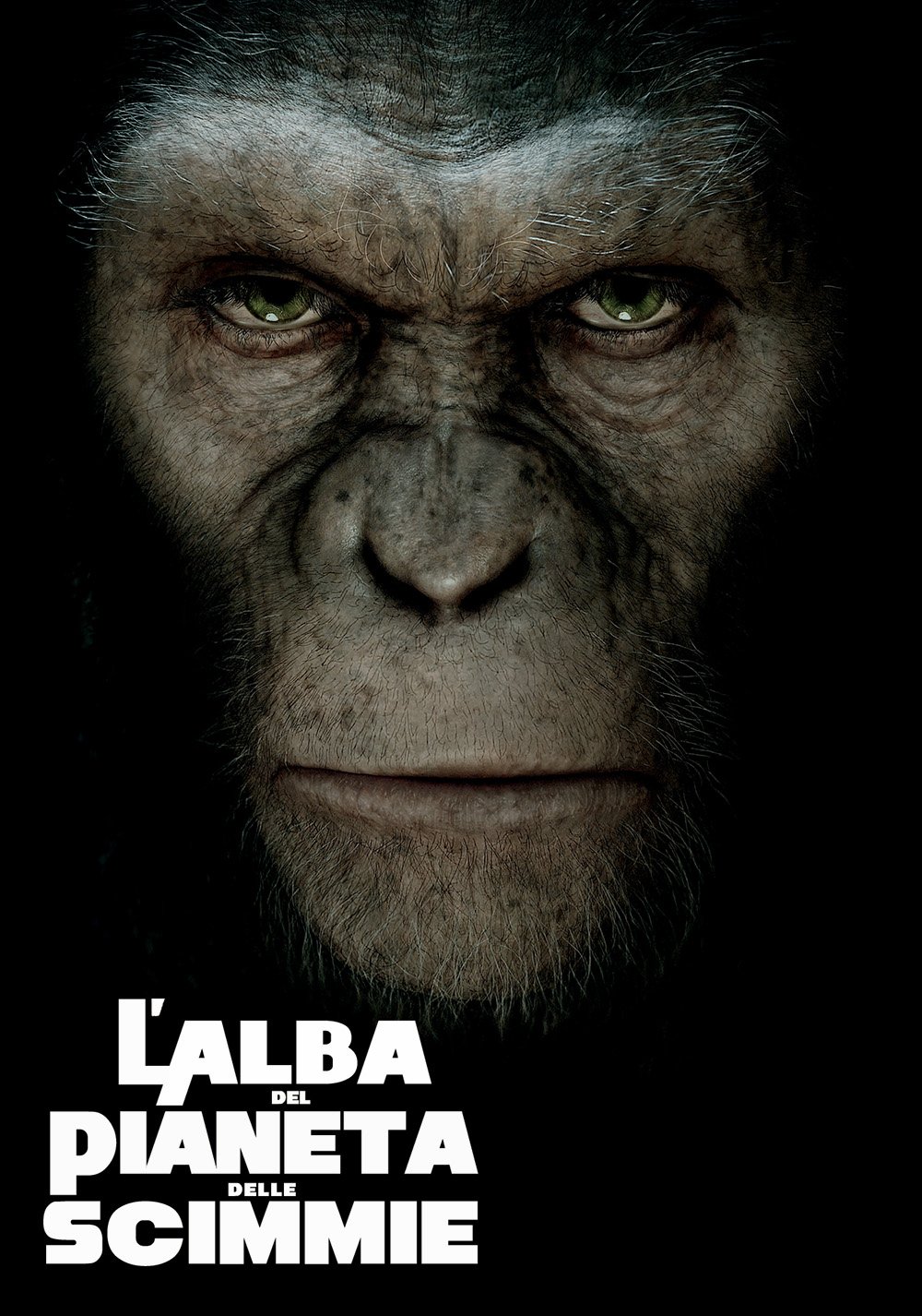Download Movie Rise Of The Planet Of The Apes Art