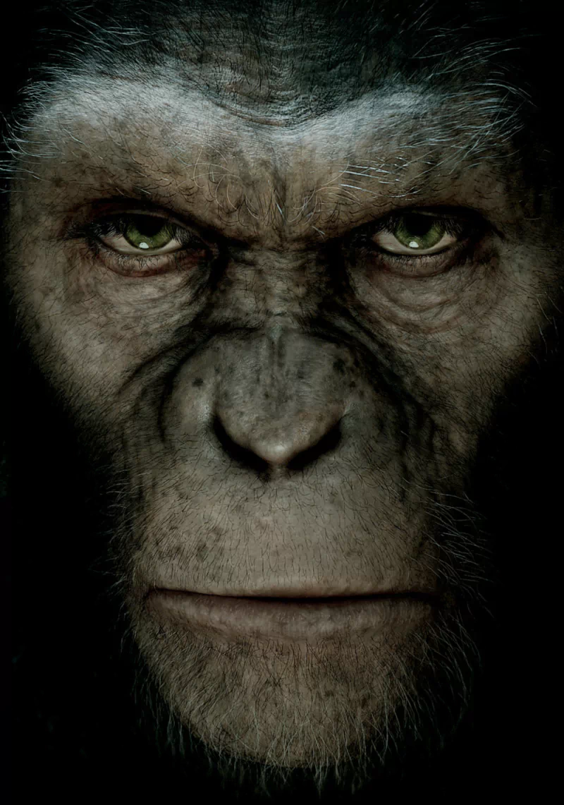 movie rise of the planet of the apes Image