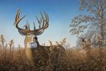 Preview Deer