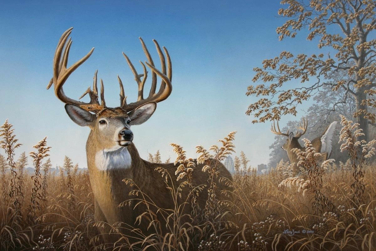 Deer Art - ID: 9852