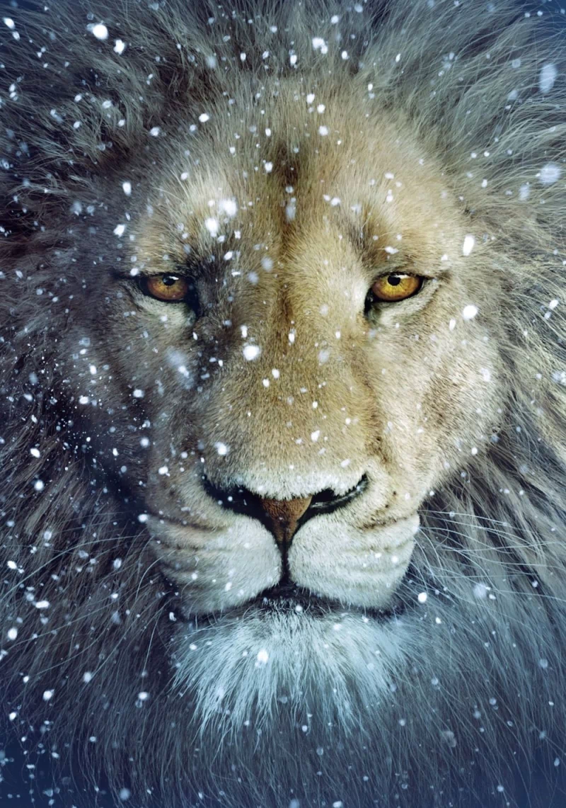 movie The Chronicles of Narnia: The Voyage of the Dawn Treader Image