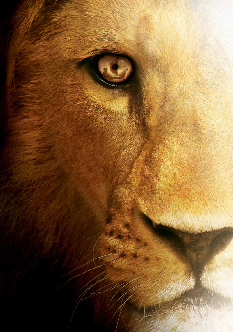 movie The Chronicles of Narnia: The Voyage of the Dawn Treader Image