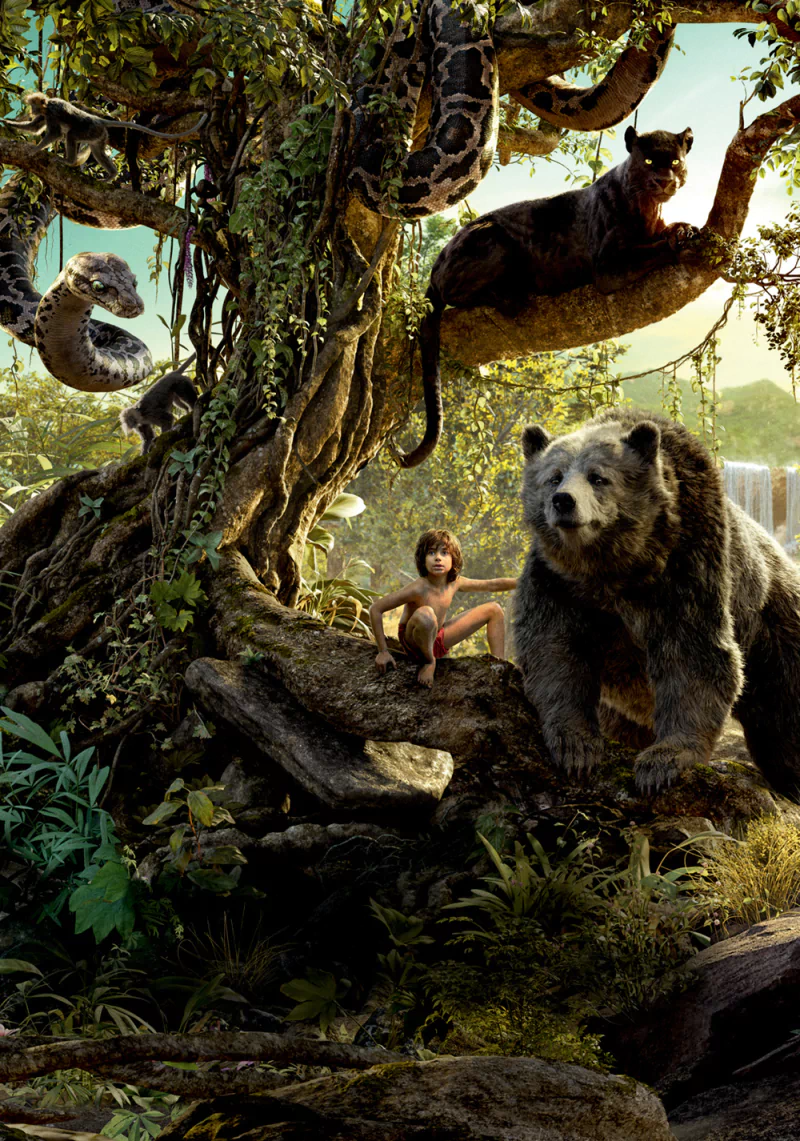 movie The Jungle Book (2016) Image